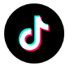 TikTok Lead Gen
